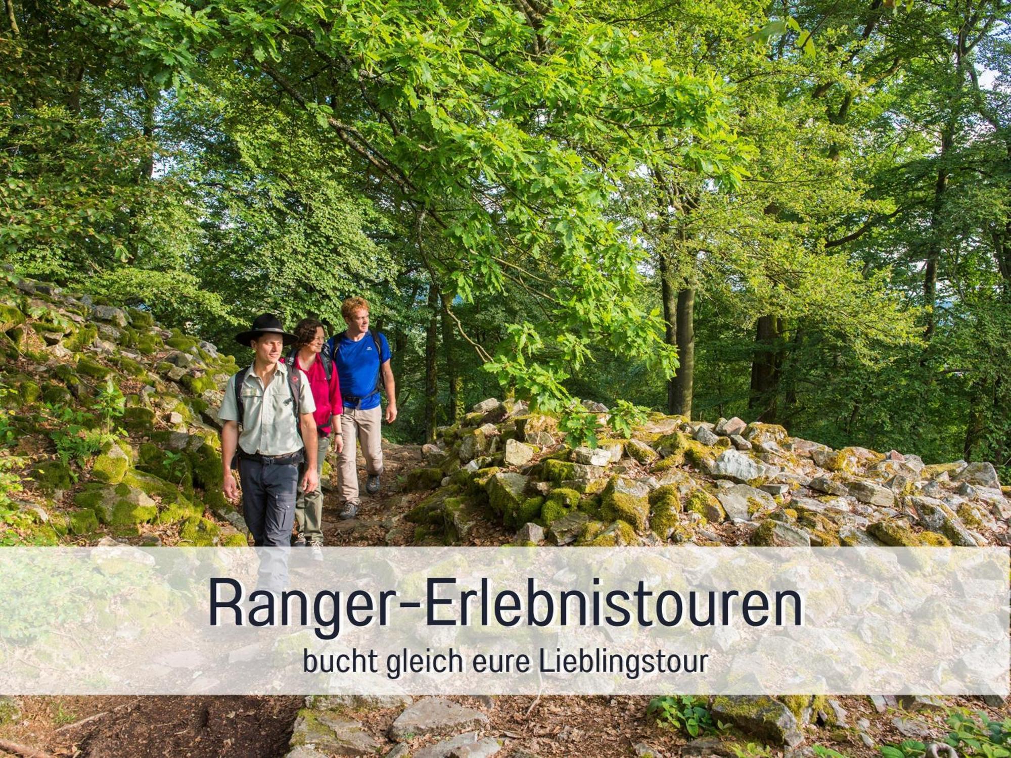 4 Sterne Ferienhaus "Zum Weiher" Allenbach Kültér fotó