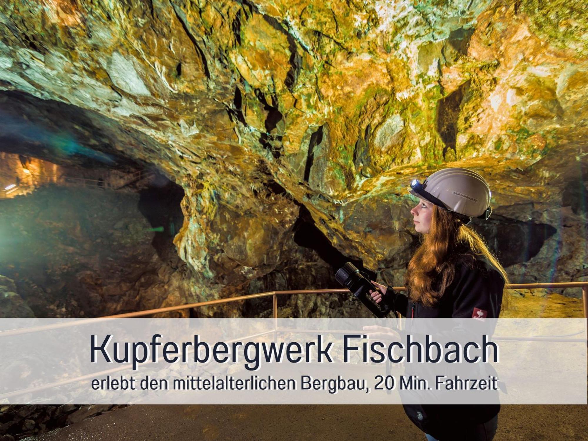 4 Sterne Ferienhaus "Zum Weiher" Allenbach Kültér fotó